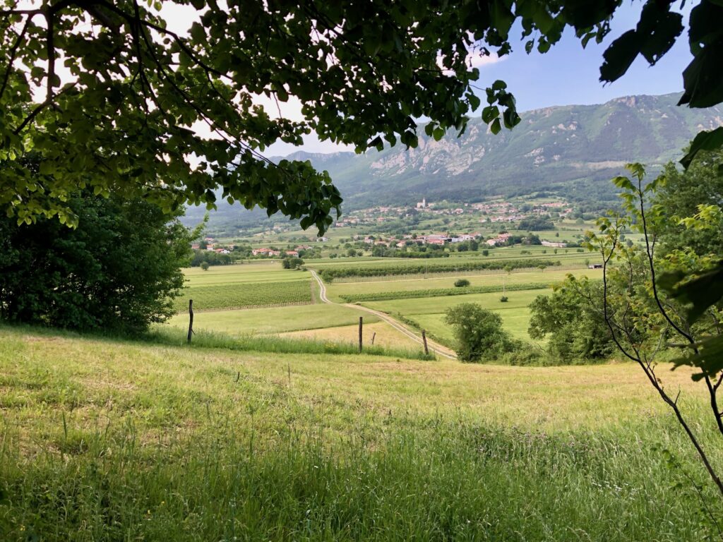 Trailrunning in Vipava Slovenië UTVV