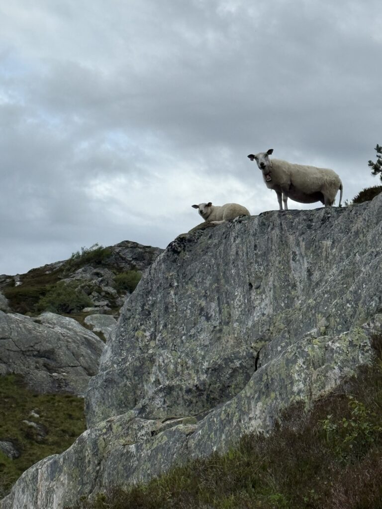 Oslo Bergen Trail
