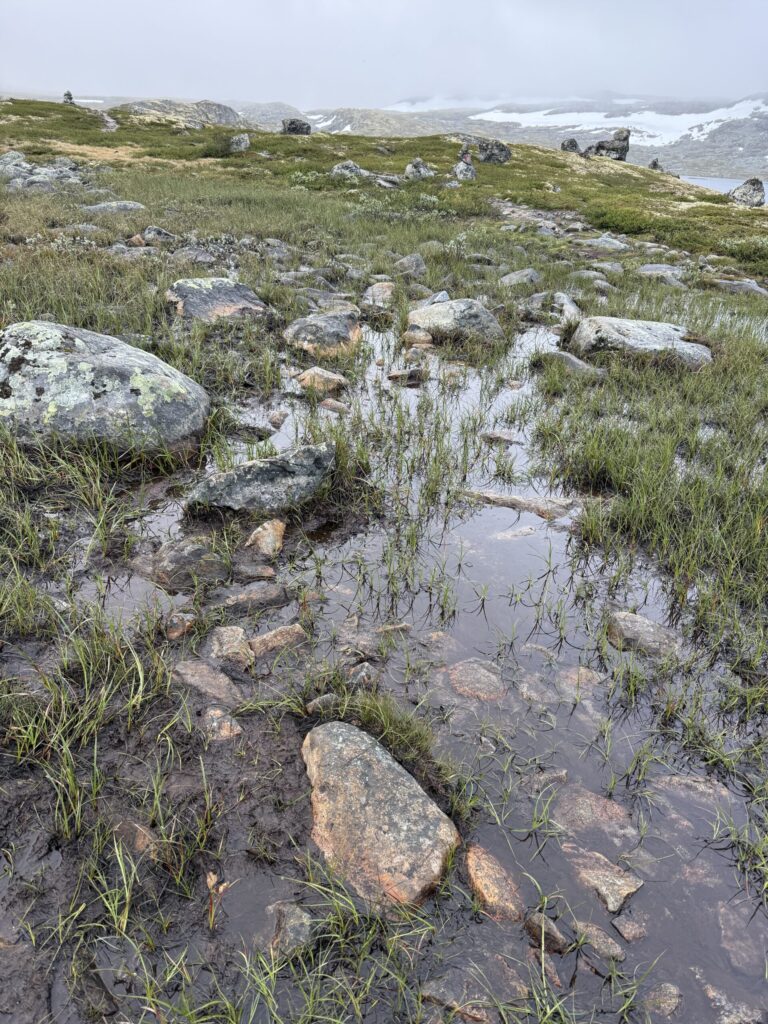 Oslo Bergen Trail